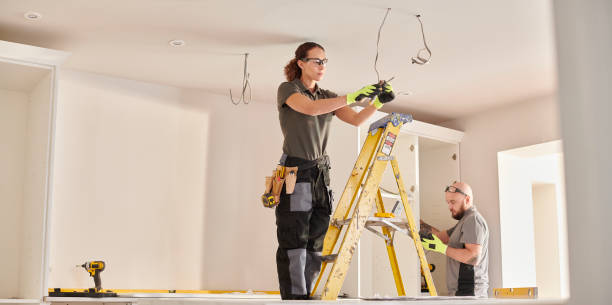Best Electric Panel Repair  in Lake Dalecarlia, IN